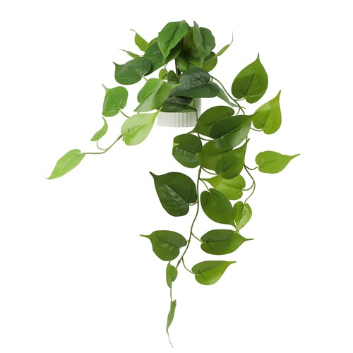 Fake pothos hanging - fake,
